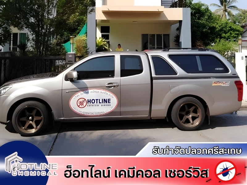 กำจัดปลวกด่วน กำจัดปลวกด่วน