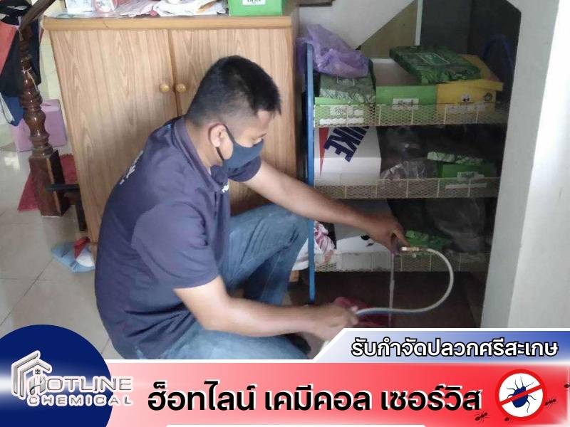 กำจัดปลวกศรีสะเกษราคาถูก กำจัดปลวกศรีสะเกษราคาถูก