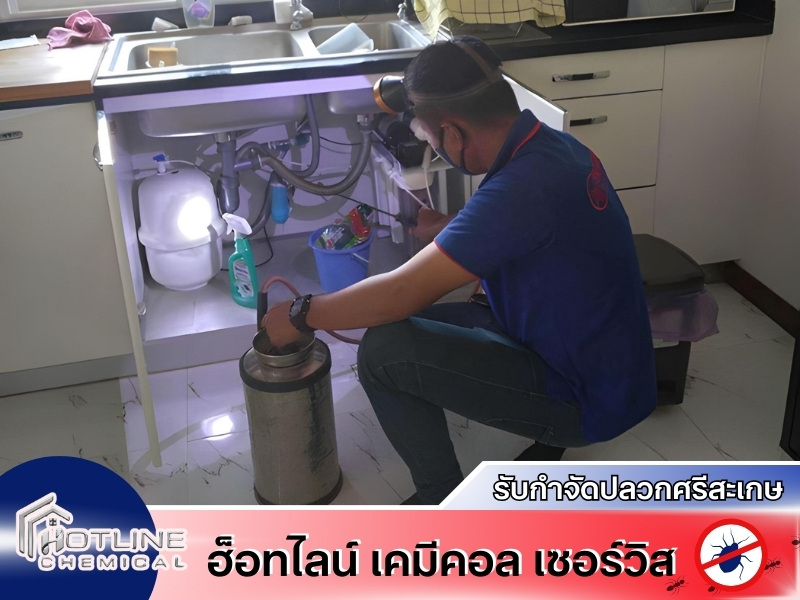 กำจัดปลวกศรีสะเกษ