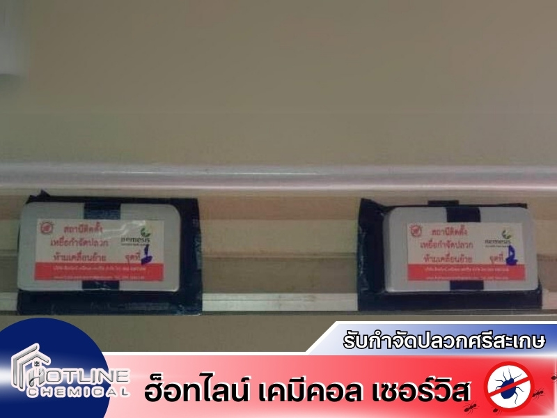 รับกำจัดปลวกด้วยระบบเหยื่อล่อ